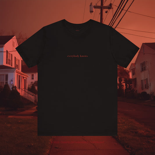 Everybody knows   - Classic, Comfy, Unisex T-Shirt (WW)